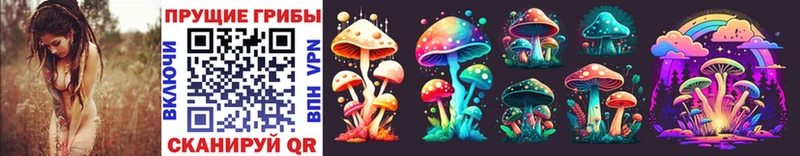 hydra зеркало  Полтавская  Галлюциногенные грибы Psilocybe  купить закладку 