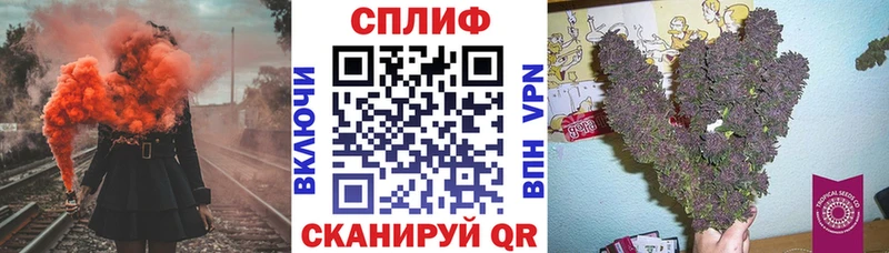где найти   Полтавская  Бошки марихуана Ganja 